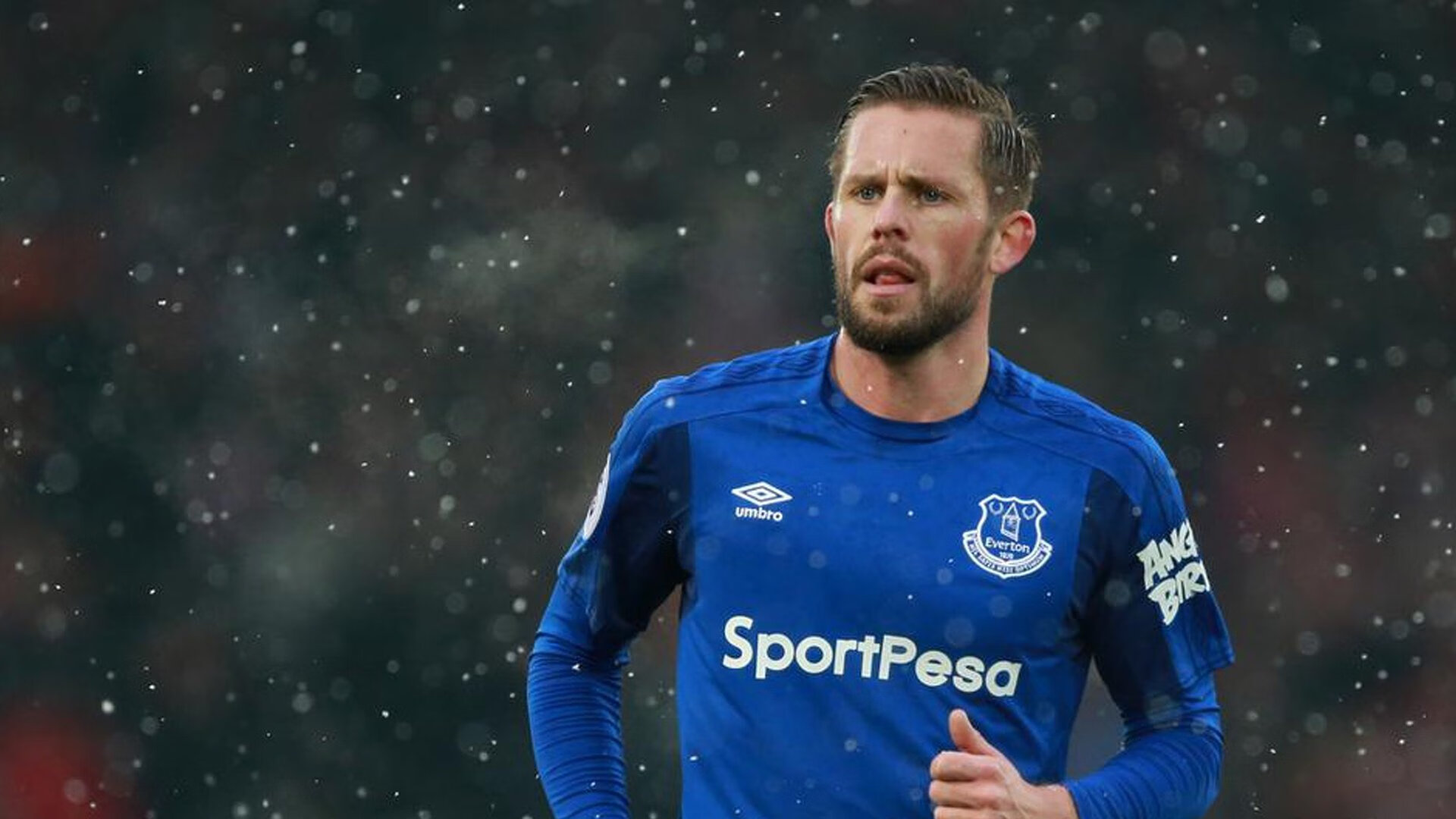 运动员成长：新秀到明星的蜕变之路，从运动员到演员的明星